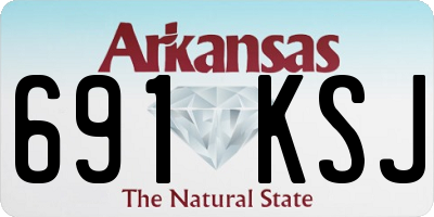 AR license plate 691KSJ