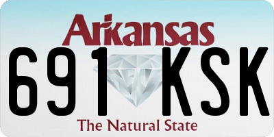AR license plate 691KSK