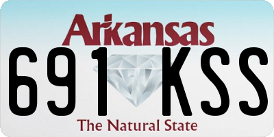 AR license plate 691KSS