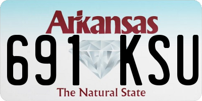 AR license plate 691KSU