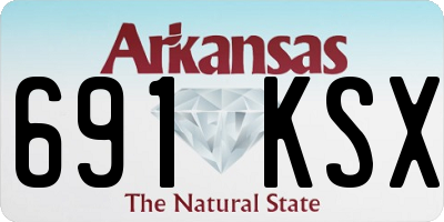 AR license plate 691KSX