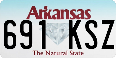 AR license plate 691KSZ