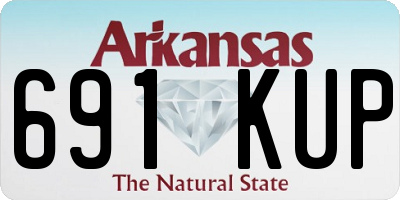 AR license plate 691KUP
