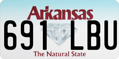 AR license plate 691LBU