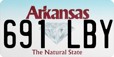 AR license plate 691LBY