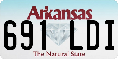 AR license plate 691LDI