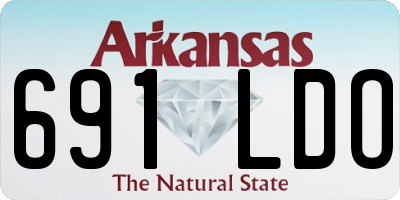 AR license plate 691LDO