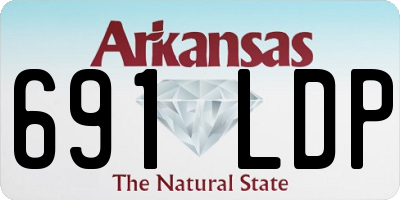 AR license plate 691LDP