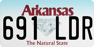 AR license plate 691LDR