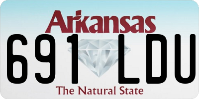 AR license plate 691LDU