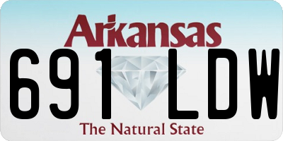 AR license plate 691LDW