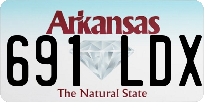 AR license plate 691LDX