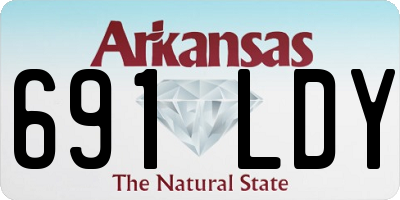 AR license plate 691LDY