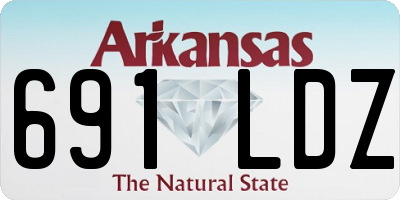 AR license plate 691LDZ