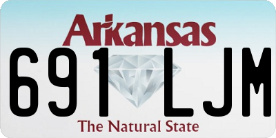AR license plate 691LJM