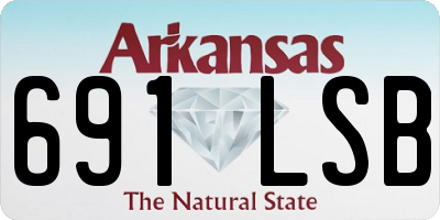 AR license plate 691LSB