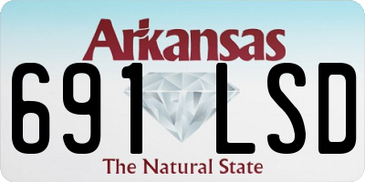 AR license plate 691LSD