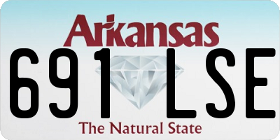 AR license plate 691LSE
