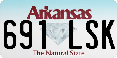 AR license plate 691LSK