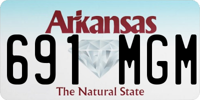 AR license plate 691MGM