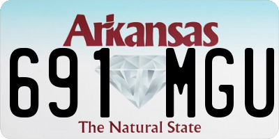 AR license plate 691MGU