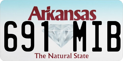 AR license plate 691MIB