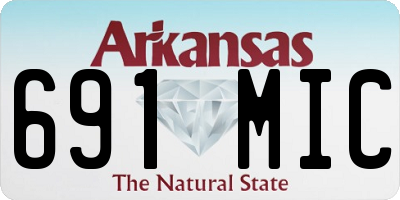 AR license plate 691MIC