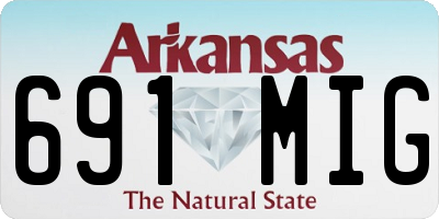 AR license plate 691MIG