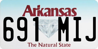 AR license plate 691MIJ