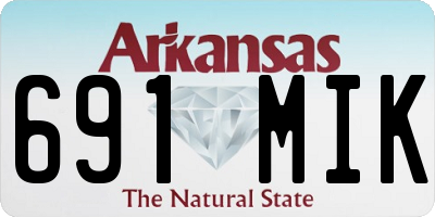 AR license plate 691MIK