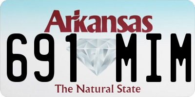 AR license plate 691MIM