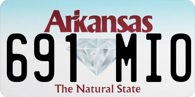 AR license plate 691MIO