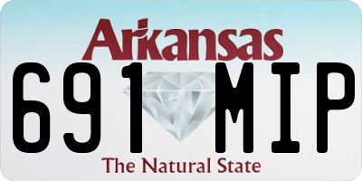 AR license plate 691MIP