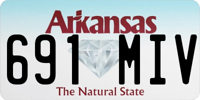 AR license plate 691MIV