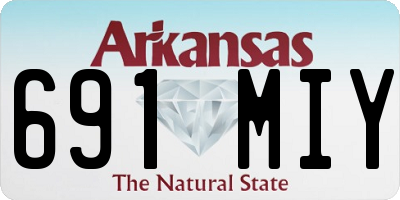 AR license plate 691MIY