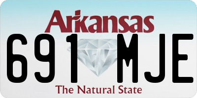 AR license plate 691MJE