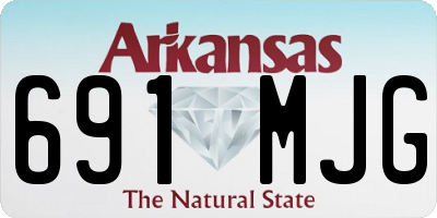 AR license plate 691MJG