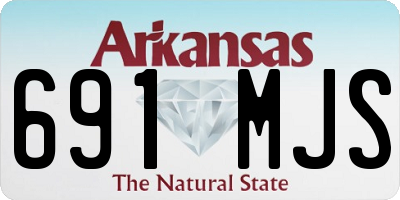 AR license plate 691MJS