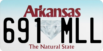 AR license plate 691MLL
