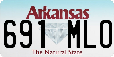 AR license plate 691MLO