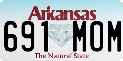 AR license plate 691MOM