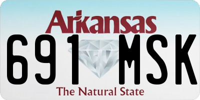 AR license plate 691MSK