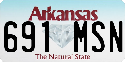 AR license plate 691MSN