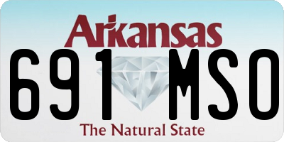 AR license plate 691MSO