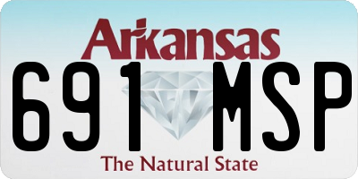 AR license plate 691MSP