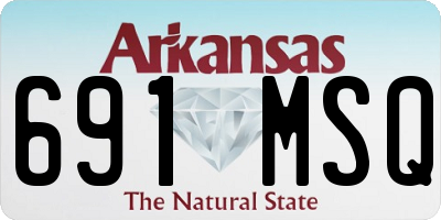 AR license plate 691MSQ