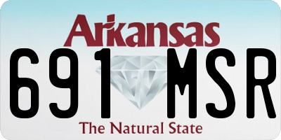 AR license plate 691MSR