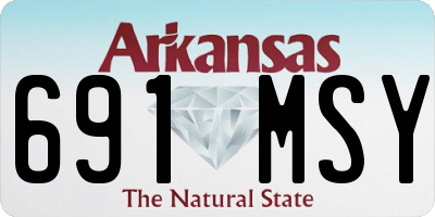 AR license plate 691MSY
