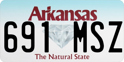 AR license plate 691MSZ
