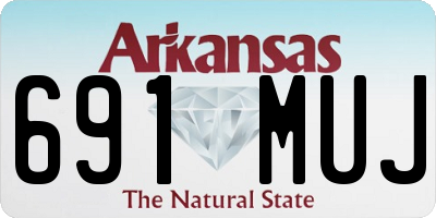 AR license plate 691MUJ